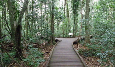Victoria Park Boardwalk - Southport Accommodation 0