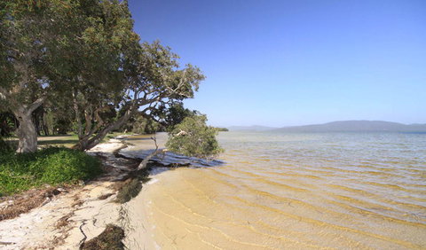 Booti Booti National Park - Southport Accommodation 1