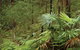 Booti Booti National Park - thumb 2