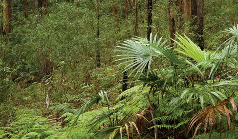 Booti Booti National Park - Southport Accommodation 2