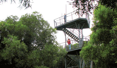 Cape Hawke Lookout - Southport Accommodation 0