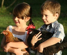 Summerland House Farm - House With No Steps - Accommodation Southport 2