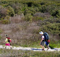Yuraygir coastal walk - Southport Accommodation