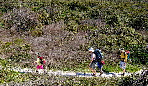 Yuraygir Coastal Walk - Southport Accommodation 0