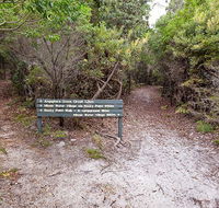 Angophora grove walking track - Southport Accommodation