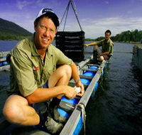 Armstrong Oysters - Accommodation Southport
