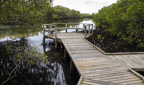 Walk On Water Walking Track - Accommodation Southport 1