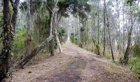 Walk On Water Walking Track - Accommodation Southport 2