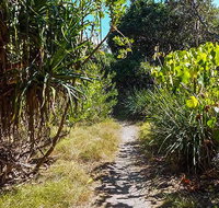 North Head walking track - Southport Accommodation