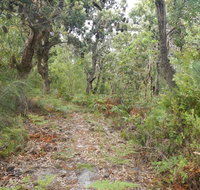Kinchela Trig Lookout walk - Southport Accommodation