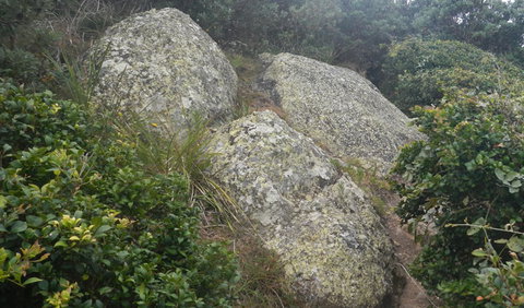 Korogoro Walking Track - Southport Accommodation 2