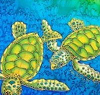 Sea Silks Gallery - Southport Accommodation