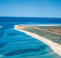 Monkey Mia - Southport Accommodation