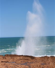 Blowholes And Point Quobba - Southport Accommodation 0