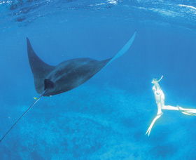 Ningaloo Reef - Southport Accommodation 3