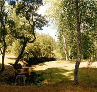 Oldina Picnic Area