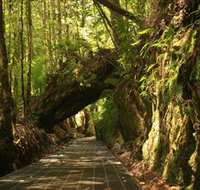 Philosopher Falls - Southport Accommodation