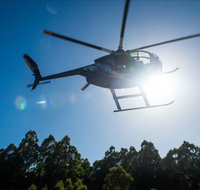 Tall Timbers Adventure Tours - Accommodation Southport