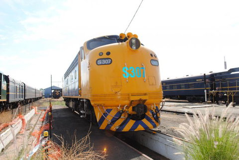 Dreamscape Tours - Accommodation Southport 6