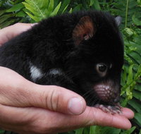 Crawn Motors - Accommodation Southport