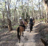 Silver Brumby Trails - Southport Accommodation