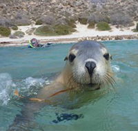 Calypso Star Charters - Accommodation Southport