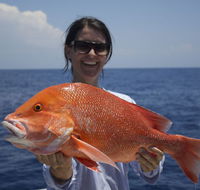 Absolute Ocean Charters - Accommodation Southport