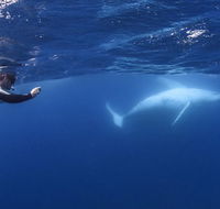 Sunreef Mooloolaba - Accommodation Southport