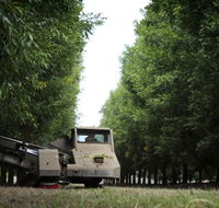 ODempseys Charters and Tours - Southport Accommodation