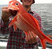 Goin' Off Safaris - Accommodation Southport