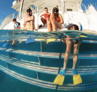 Australian Sunset Safaris - Southport Accommodation