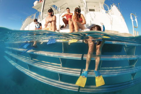 Australian Sunset Safaris - Southport Accommodation 5