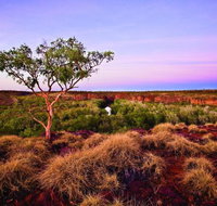Island Stack Boodjamulla Lawn Hill National Park - Southport Accommodation