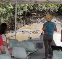 Whitsunday Crocodile Safari - Accommodation Southport