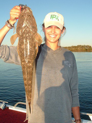 Reel Time Charters Yamba - Accommodation Southport 2