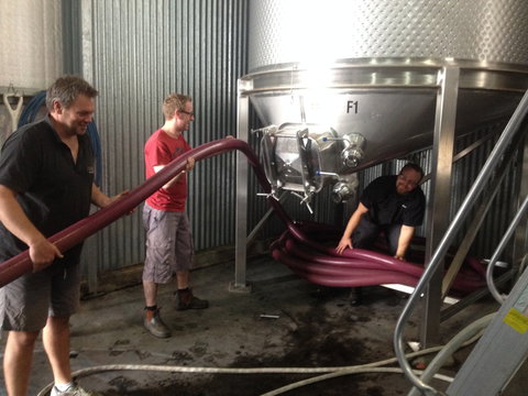 La Prova Wines - Accommodation Southport 2