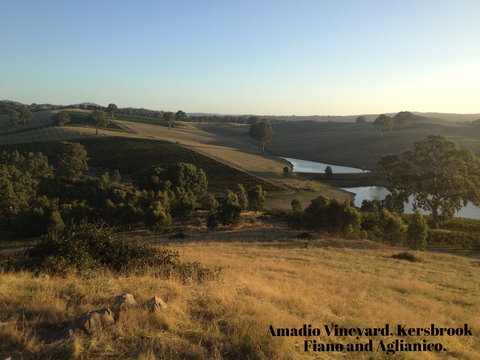 La Prova Wines - Accommodation Southport 3