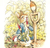 Mount Isa Civic Centre - Southport Accommodation