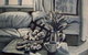 Wonderland Framing & Art - thumb 0