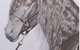 Great Lakes Art Society - thumb 0