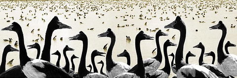 Tin Shed Art Gallery - Southport Accommodation 0