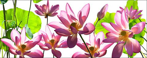 Tin Shed Art Gallery - Southport Accommodation 3