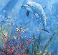 Nadas Fine Art Gallery - Accommodation Southport