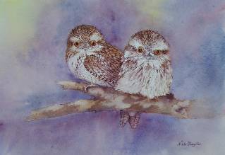 Nada’s Fine Art Gallery - Accommodation Southport 1