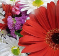 Marysworldart Bali Imports - Southport Accommodation