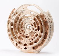 Noosa Regional Gallery - Accommodation Southport