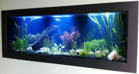 Aquariums In Cairns - Southport Accommodation 0