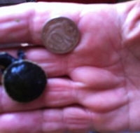 Hurleys Aquariums - Accommodation Southport