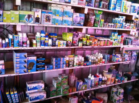 Hurley’s Aquariums - Accommodation Southport 1