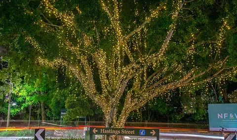 The Sunshine Coast Tour Company - Accommodation Southport 3